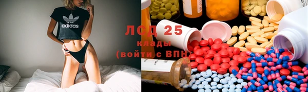 ГАЛЛЮЦИНОГЕННЫЕ ГРИБЫ Беломорск