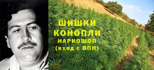 mix Белокуриха