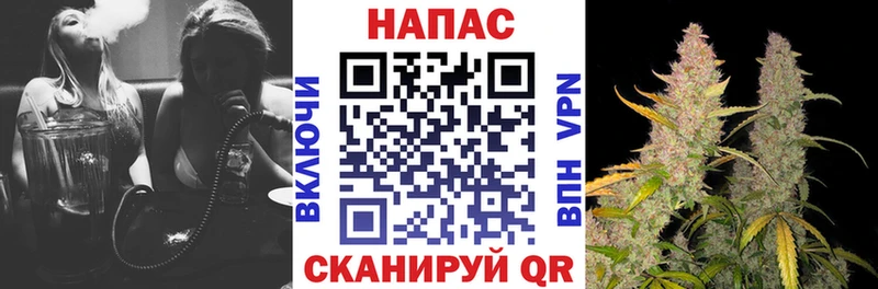 Марихуана сатива Туран